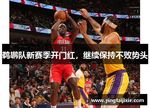 鹈鹕队新赛季开门红，继续保持不败势头
