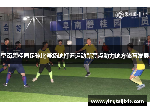 阜南碧桂园足球比赛场地打造运动新亮点助力地方体育发展