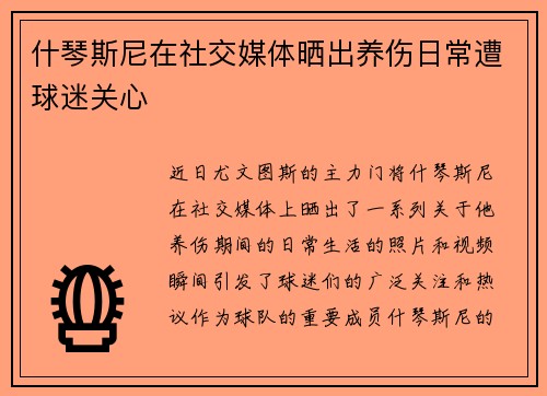 什琴斯尼在社交媒体晒出养伤日常遭球迷关心